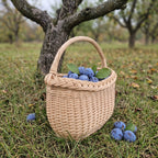 Small oval wicker berry basket with a braided rim and curved handle full of fresh plums on the grass in an autumn orchard