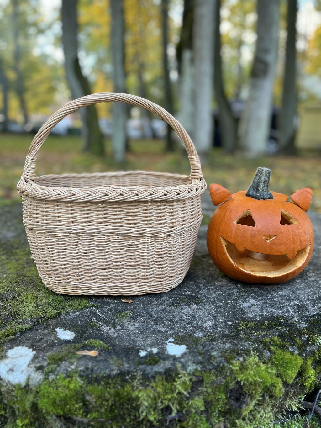 Large Oval Wicker Basket with Arched Handle