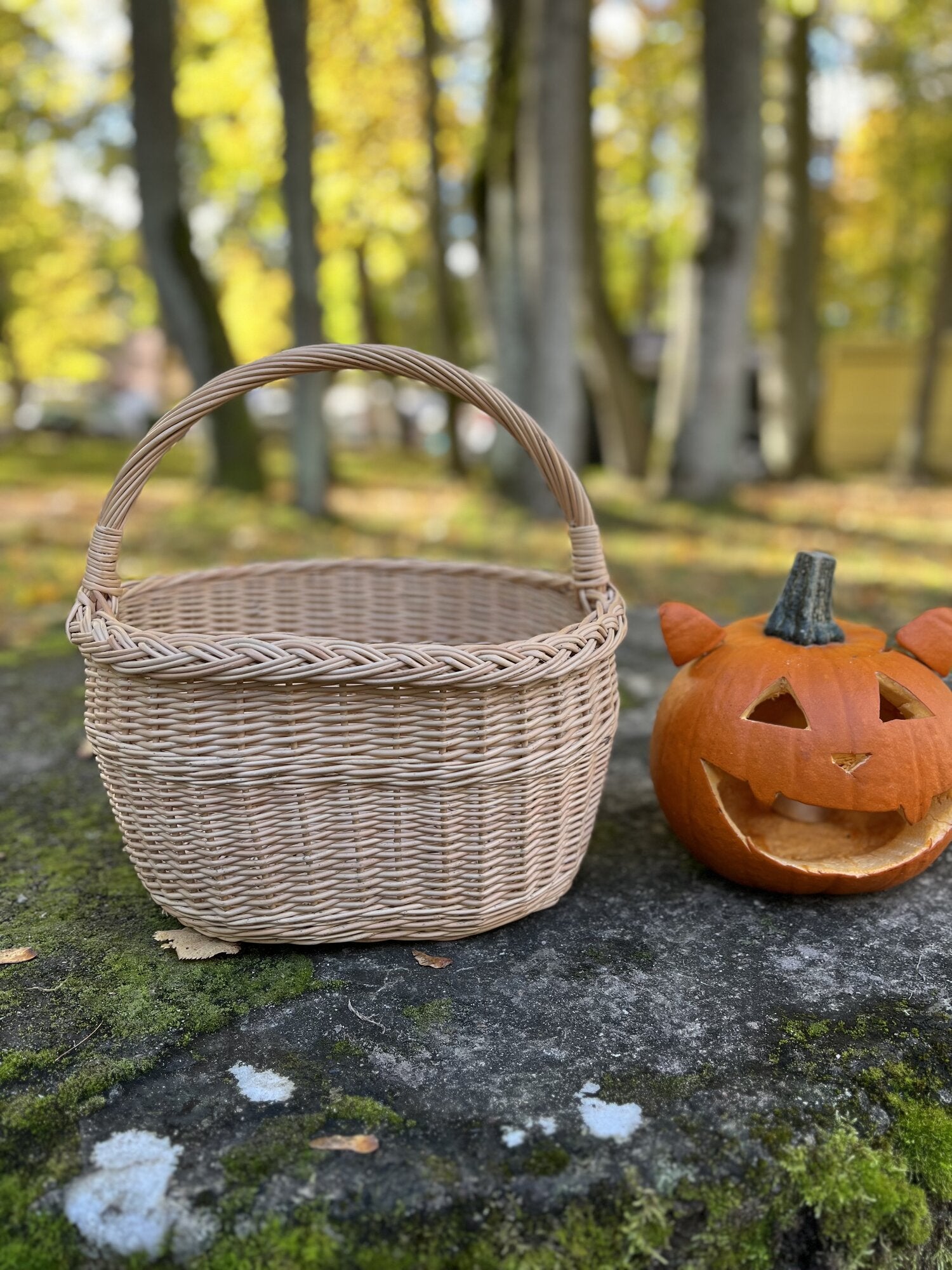 Large Oval Wicker Basket with Arched Handle