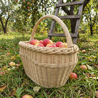 Handwoven willow basket with handle filled with red apples in an orchard, set on the grass beside a wooden ladder and fallen fruit