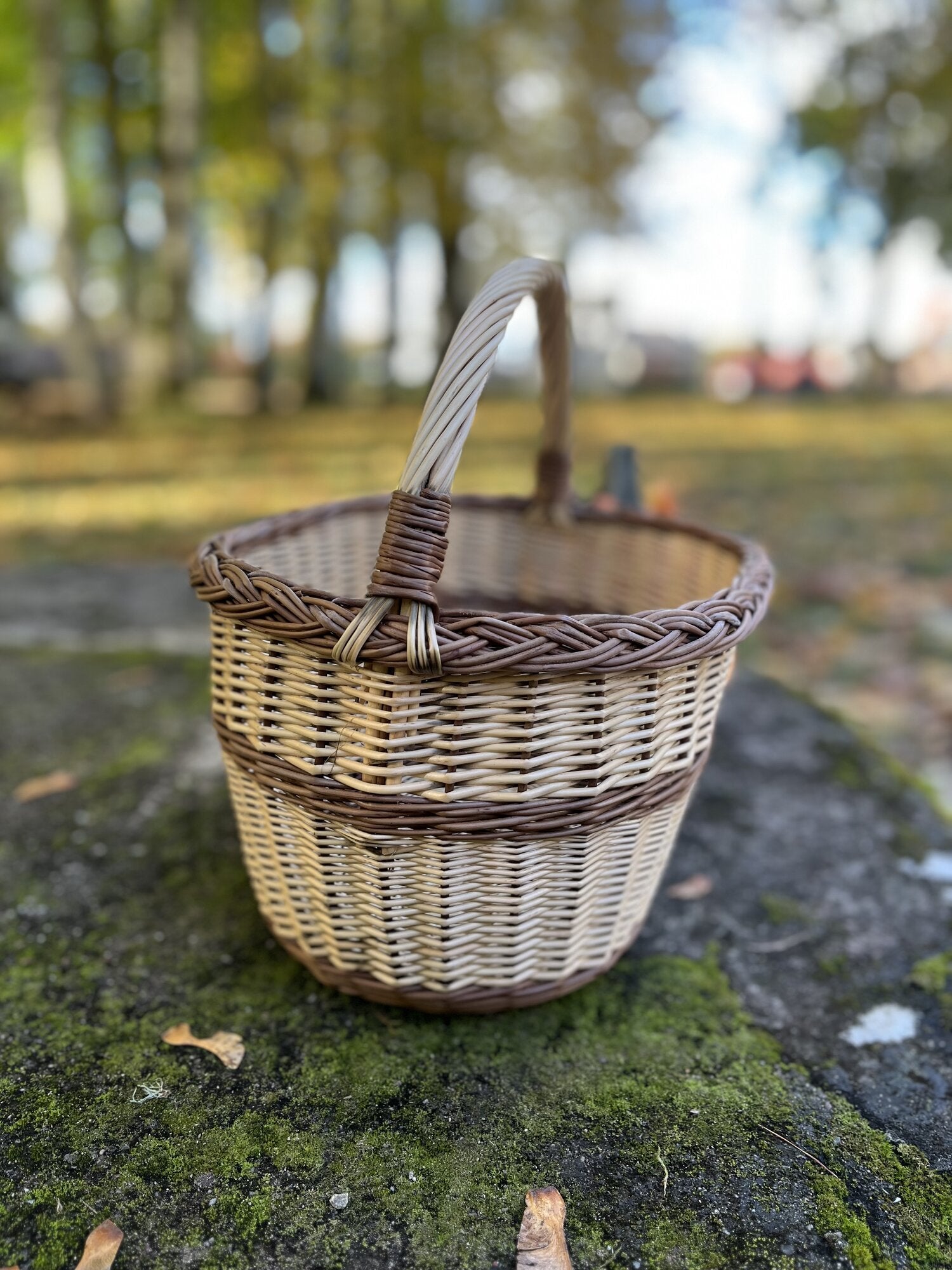 Large Oval Wicker Basket with Arched Handle