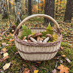 Oval wicker foraging basket with handle filled with wild mushrooms and ferns on the mossy forest floor among autumn leaves