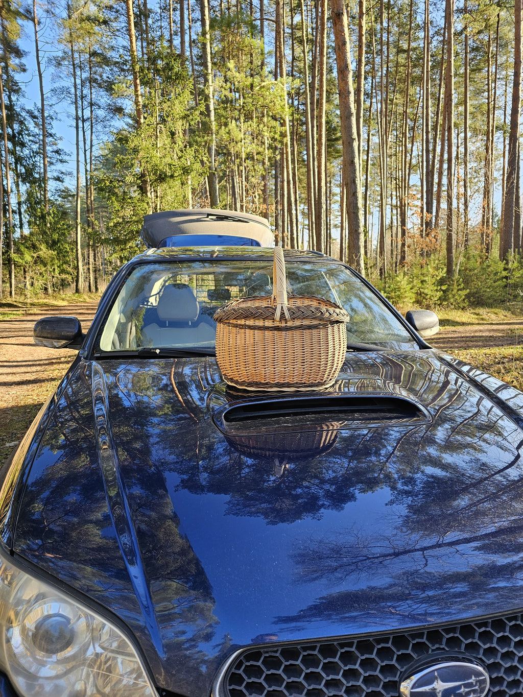 Handmade willow basket resting on the bonnet of a dark blue car parked among pines, an in-use shot from a foraging trip.