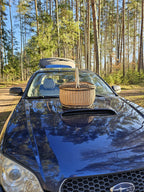 Handmade willow basket resting on the bonnet of a dark blue car parked among pines, an in-use shot from a foraging trip.