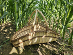 Long boat-shaped willow trug with an open woven body and two arched handles meeting at the top, standing between rows of maize