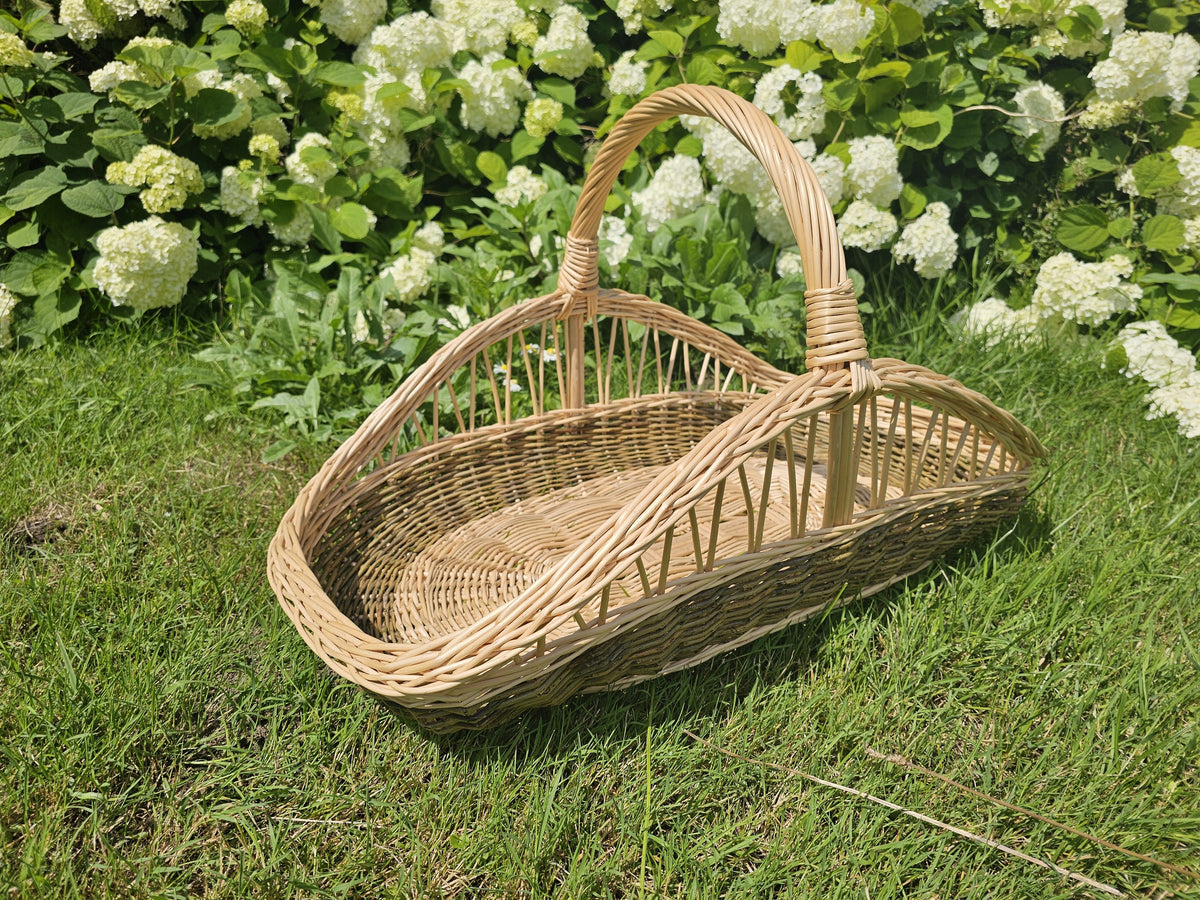 Elongated willow flower trug with a low woven base, open-weave sides and a single tall arched handle on the grass by hydrangeas