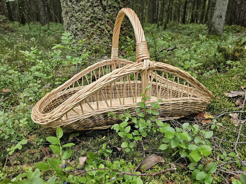 Long tapered willow trug with an open-weave body standing on a mossy forest floor, its upright ribs rising to the rim and handle