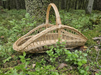 Long tapered willow trug with an open-weave body standing on a mossy forest floor, its upright ribs rising to the rim and handle
