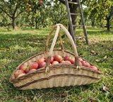 Großer Gartenkorb aus Weide mit zwei gekreuzten Henkeln, gefüllt mit roten Äpfeln, im Obstgarten neben einer Leiter