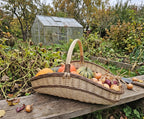 Large garden trug basket with handle holding pumpkins, squash and onions on a wooden bench in a vegetable garden by a greenhouse.