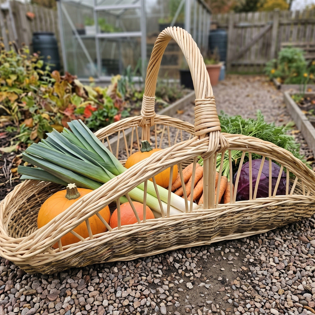 Large wicker harvest trug full of leeks, pumpkins, carrots and red cabbage on a gravel path beside a greenhouse