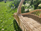 Detail of the willow trug on the grass, showing the tight base weave and the reinforced point where the arched handle joins the rim