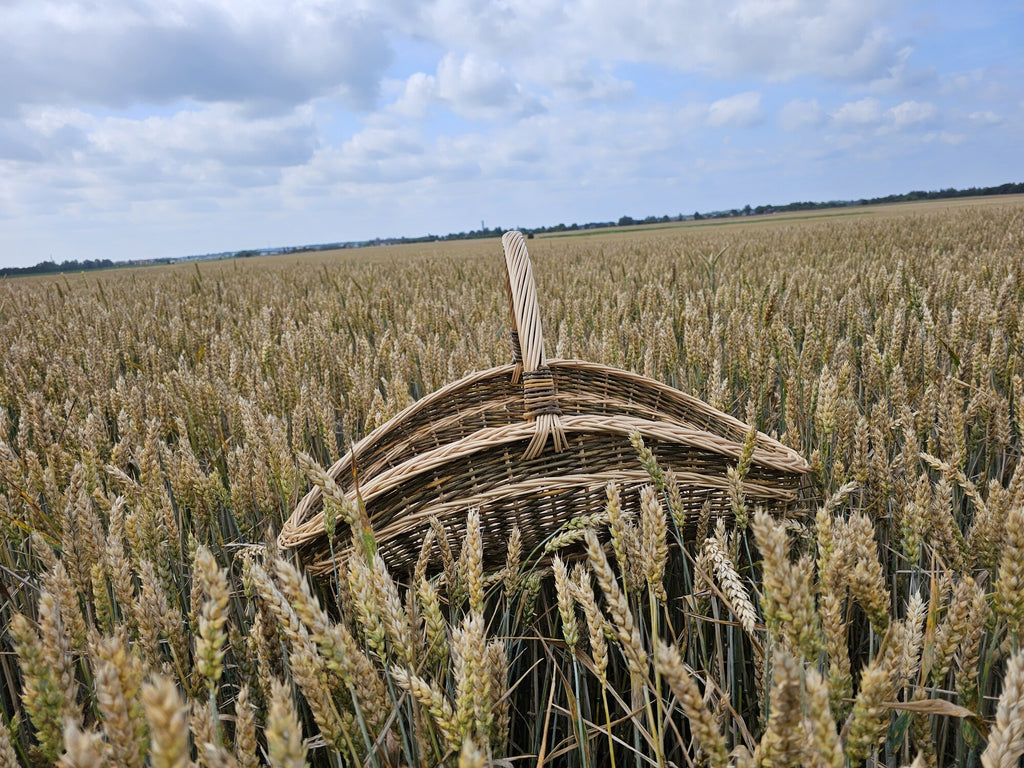 Extra-Large Wicker Garden Trug Basket