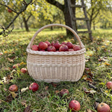 Erntekorb aus Weide mit Henkel voller roter Äpfel im Gras eines herbstlichen Obstgartens, dahinter eine Leiter