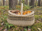 Large wicker mushroom foraging basket with handle filled with porcini and chanterelles on the forest floor among ferns