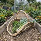 Large willow flower gathering trug holding leeks, parsley and fresh herbs on a gravel path between raised beds near a greenhouse.