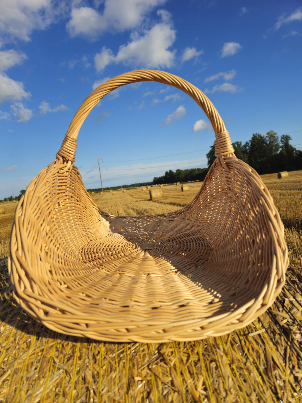 Elongated handwoven willow basket with a spiral-woven base flowing into curved sides and a single arched handle, standing on straw stubble in a field.