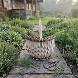 Handwoven willow mushroom basket with a braided rim and arched handle on a stone path in a herb garden, with cut herbs and garden scissors beside it.