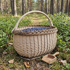 Deep willow berry picking basket filled with wild blueberries among bilberry bushes in a pine forest, a wooden berry scoop beside it.