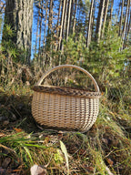 Oval wicker basket with a braided rim set among sunlit forest undergrowth at the foot of a pine trunk, ready for a morning of mushroom picking.