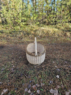 End-on view of the oval foraging basket on a bed of pine needles, showing its narrow profile, high twisted handle and rounded willow base.