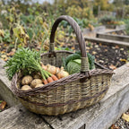 Large wicker gathering basket with a twisted handle full of carrots, potatoes, onions and cabbage on a raised garden bed