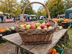 Oversized wicker harvest basket with handle full of apples on a wooden table at an autumn farmers market with pumpkins.