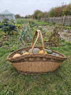 Large handwoven willow harvest basket with two handles meeting above the centre, filled with pumpkins and squash in an autumn vegetable garden