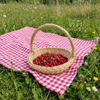 Small round willow basket with handle full of wild strawberries on a red gingham picnic blanket in a summer meadow
