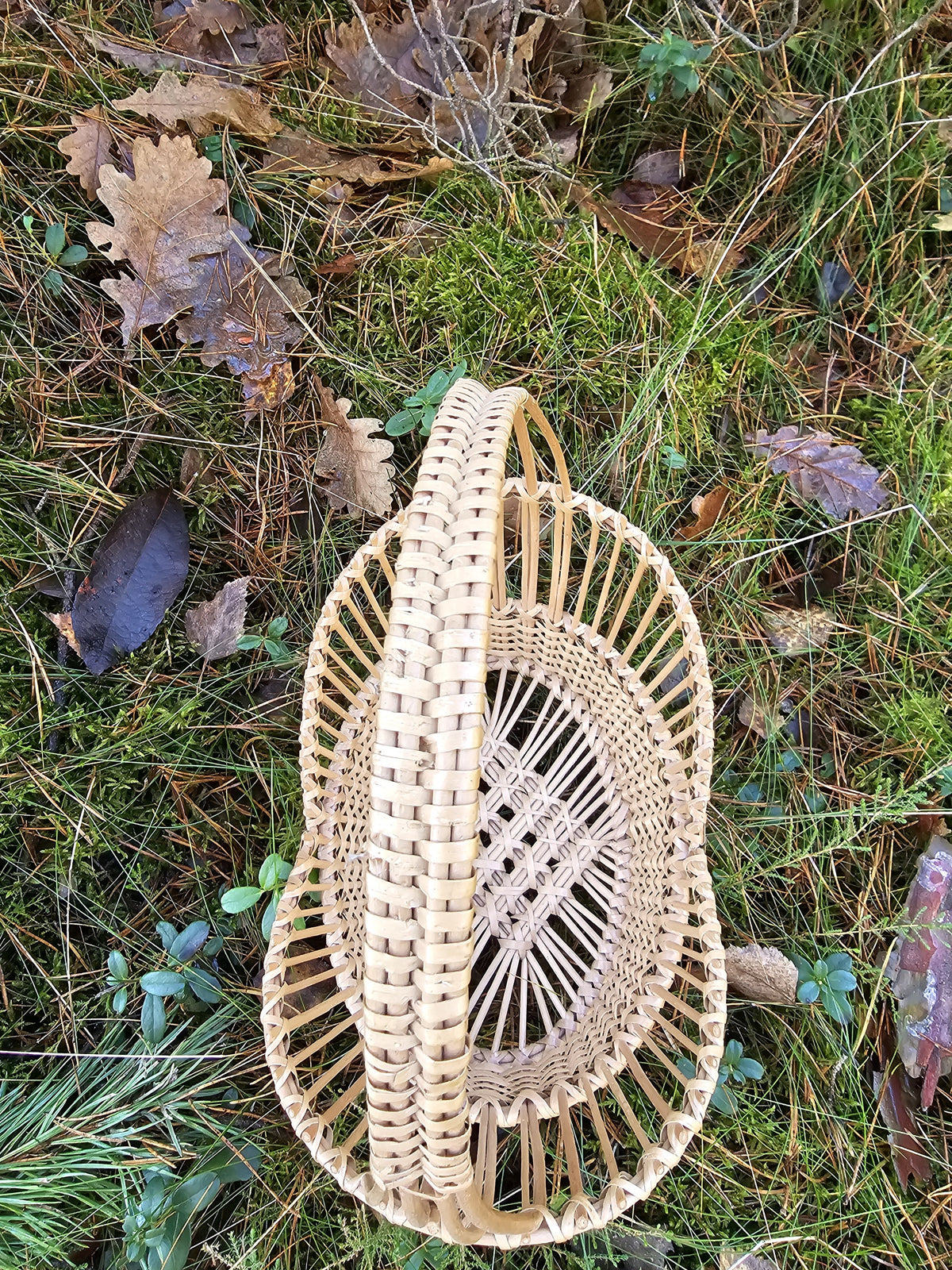 Empty handwoven willow tray with a round base, woven handle and patterned open weave, set on grass and moss in the woods.