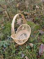 Open-weave willow basket with a tall carrying handle on a bed of moss, grass and leaves, showing the vertical rods of its lace-style sides