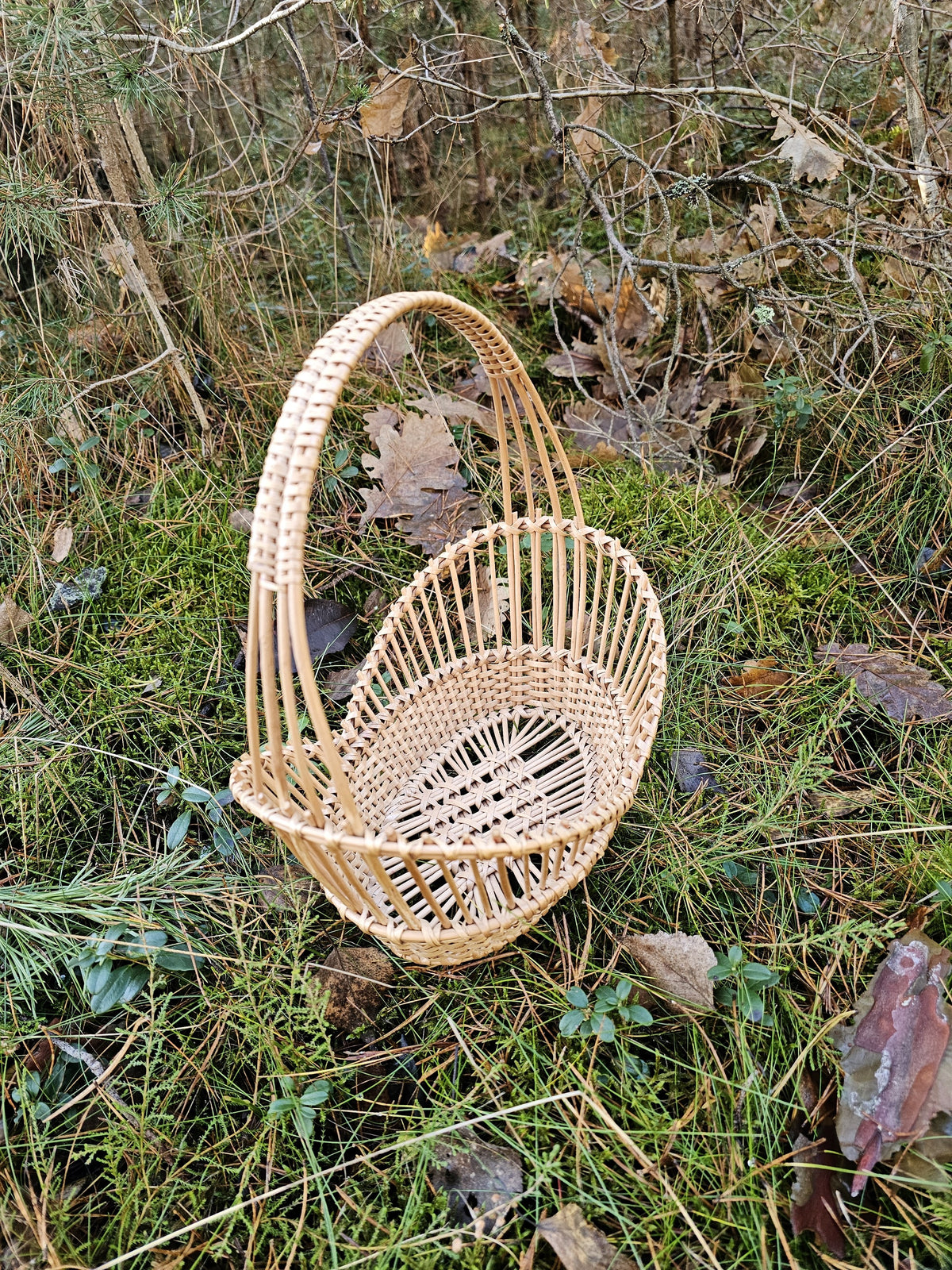 Open-weave willow basket with a tall carrying handle on a bed of moss, grass and leaves, showing the vertical rods of its lace-style sides
