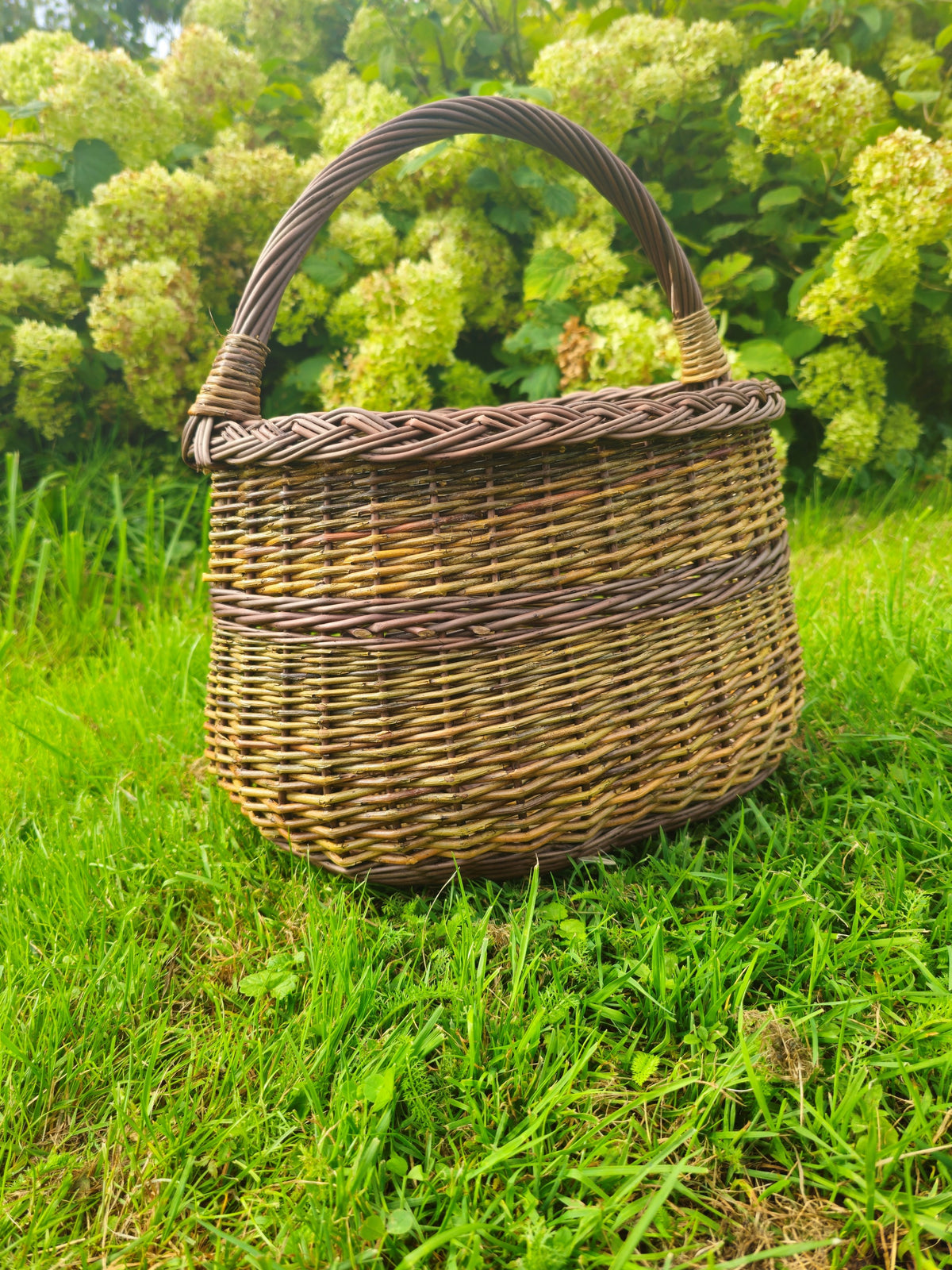 Handwoven wicker foraging basket with a sturdy reinforced handle and braided rim on green grass in front of flowering hydrangeas.