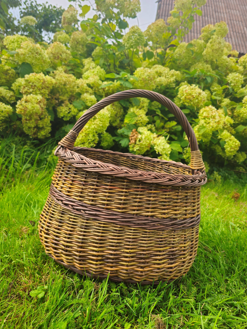 Side view of the tall handwoven willow gathering basket with a strong arched handle and a woven band around the body in a summer garden.