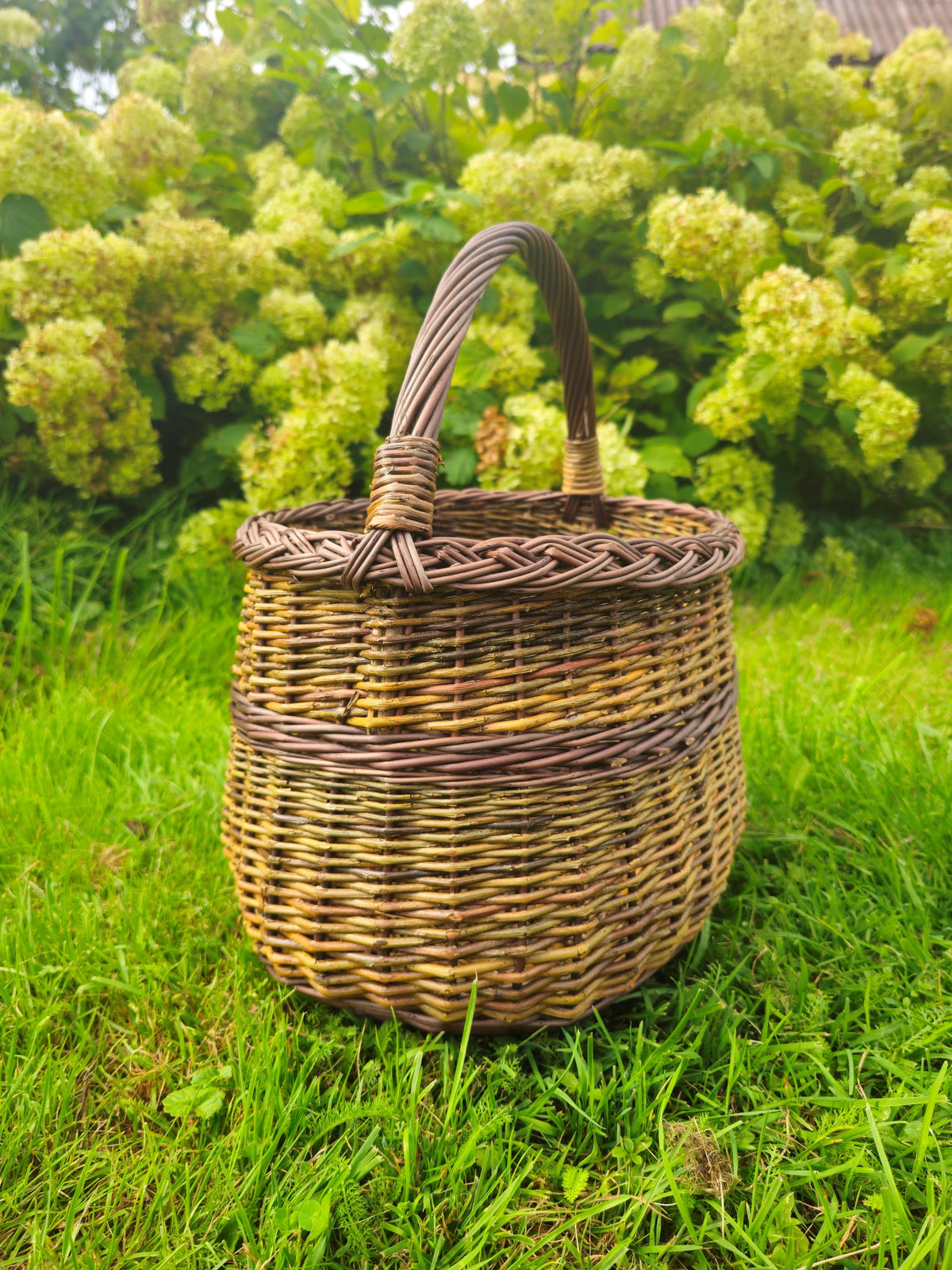 Tall handwoven willow foraging basket with a braided rim and reinforced handle standing on the grass in front of hydrangea bushes.