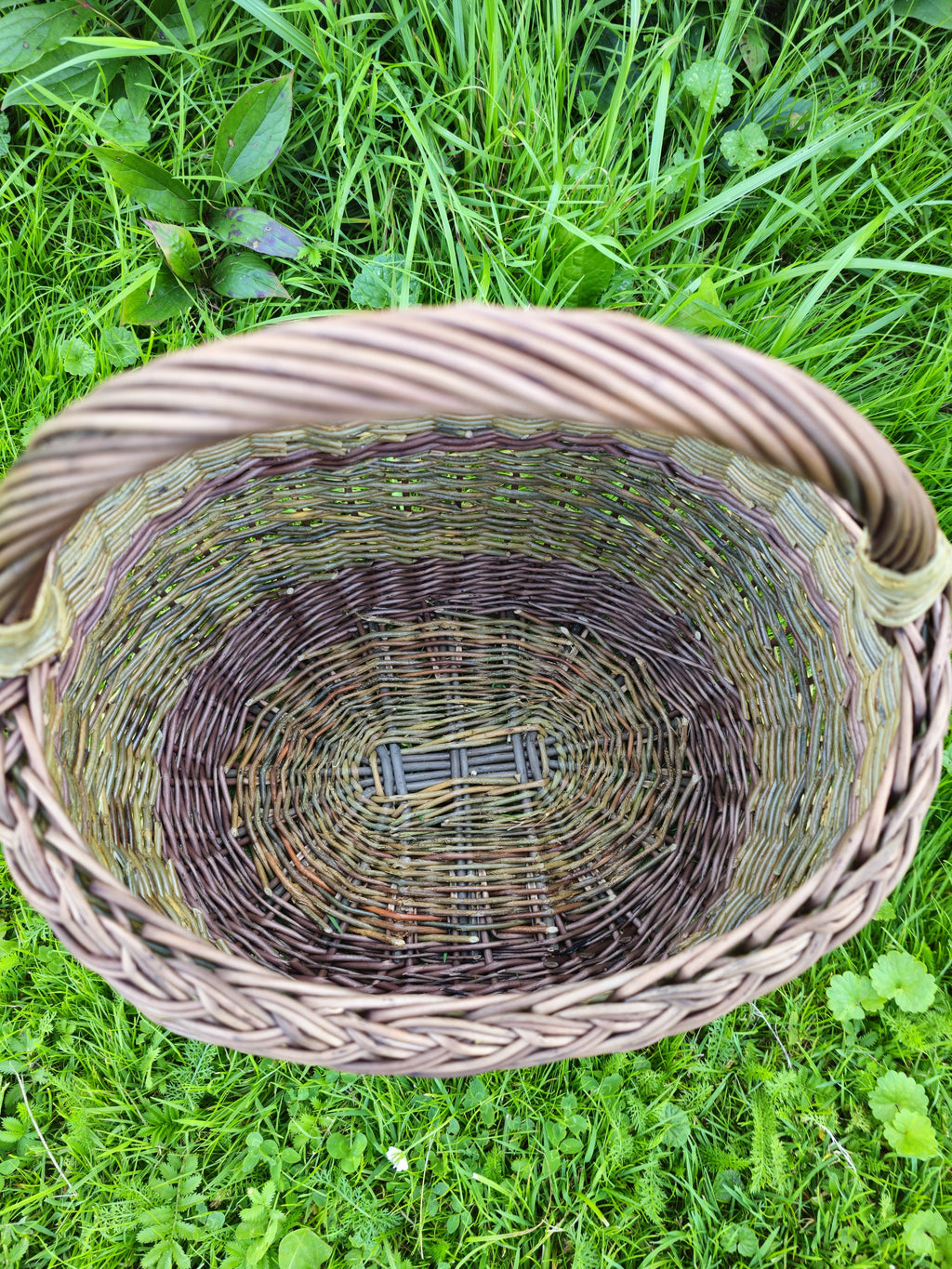 Overhead view in the grass, the plaited rim, the woven collar where the handle joins the side, and the interior all visible at once.