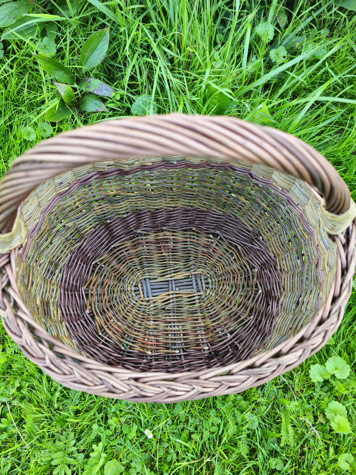Overhead view in the grass, the plaited rim, the woven collar where the handle joins the side, and the interior all visible at once.