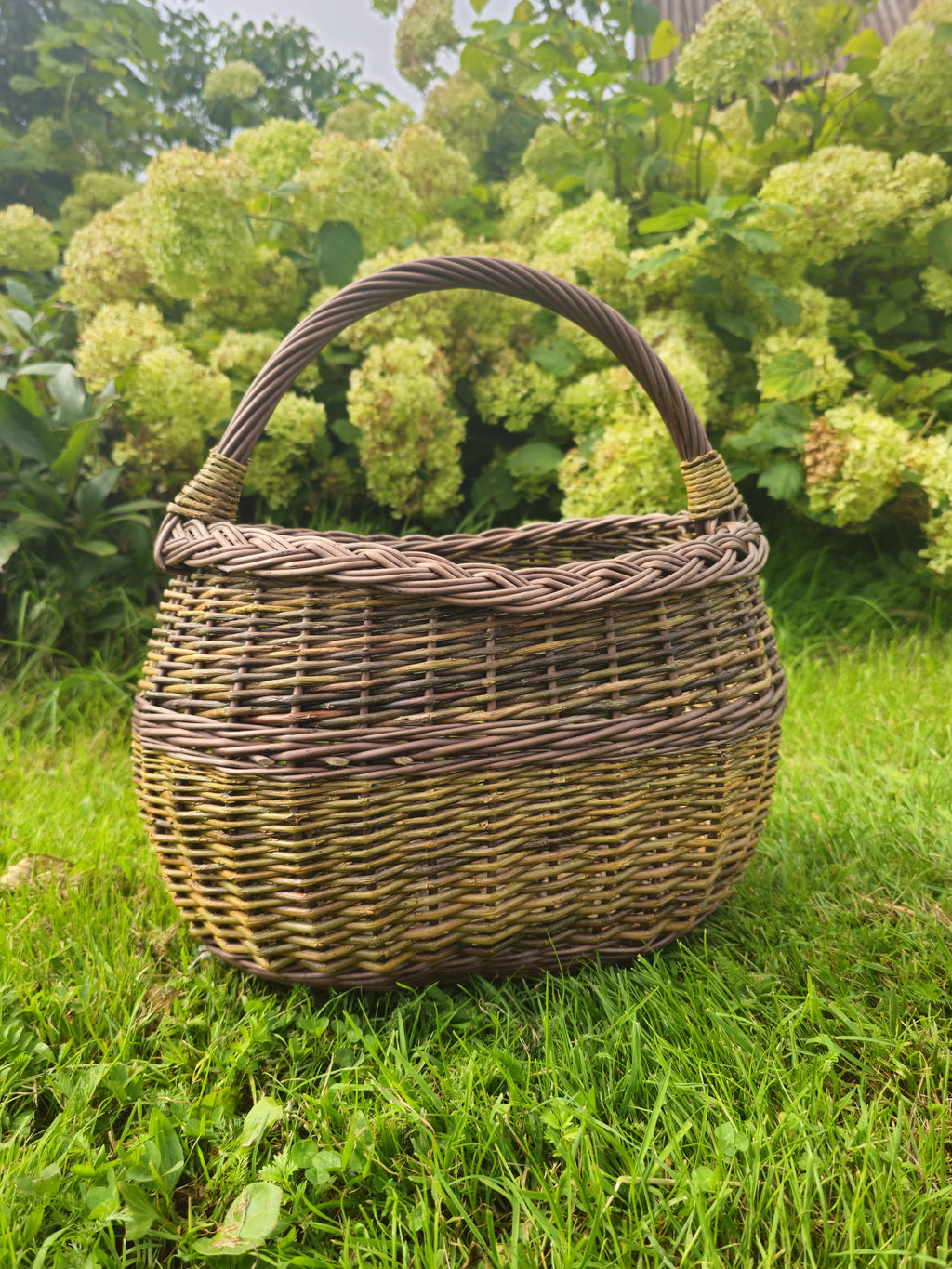 Rounded willow basket standing in garden grass in front of hydrangeas, seen straight on with the handle upright.