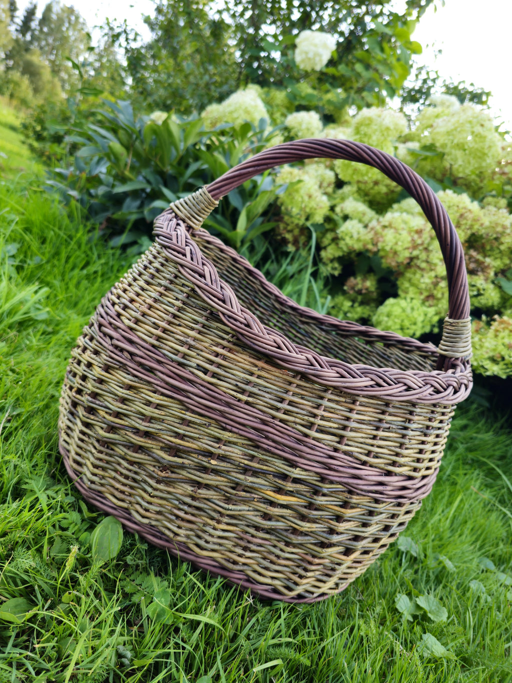 Rounded handwoven wicker basket in unpeeled willow with a tall arched handle and plaited rim, standing in garden grass in front of white hydrangeas.
