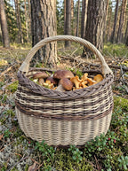 Handwoven willow basket with an arched handle full of wild mushrooms, set on moss and lingonberry leaves in a pine forest