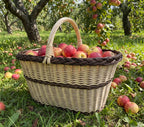 Large oval willow basket with handle filled with freshly picked red apples on the grass of an orchard among fallen fruit