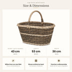 Size chart for the large handwoven willow harvest basket showing 43 cm height with handle, 53 cm length and 36 cm width