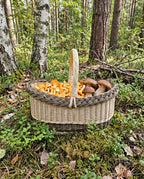 Large oval willow foraging basket filled with chanterelles and porcini mushrooms on the mossy floor of a birch and pine forest.