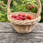 Close-up of the mini round willow basket with a braided rim filled with ripe raspberries on a wooden table in a raspberry garden.