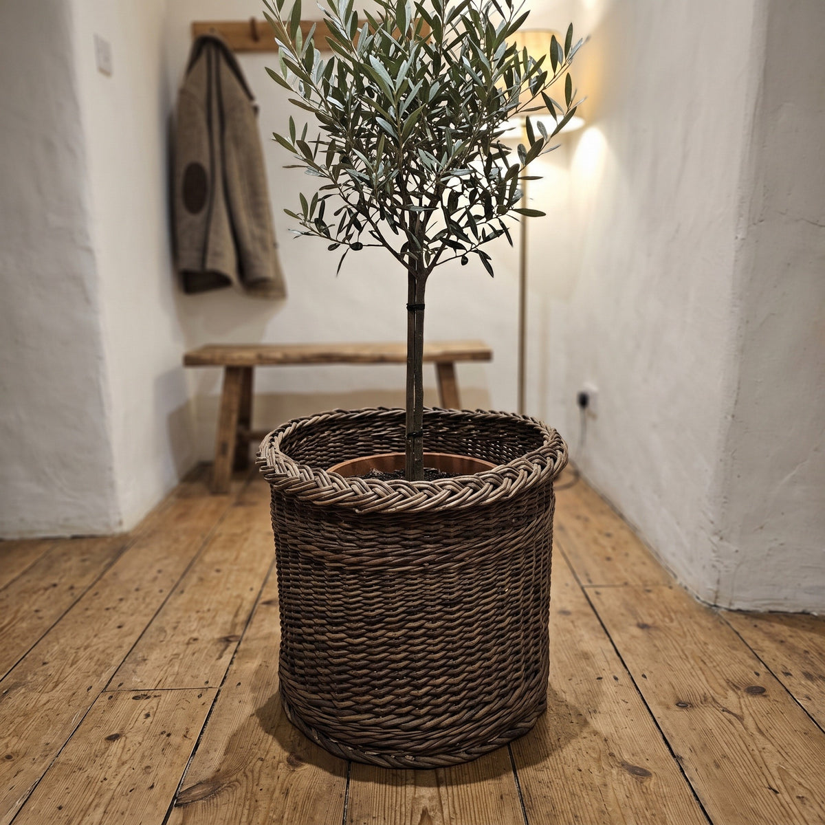 Large round wicker pot cover with braided rim holding a small potted olive tree on a wooden floor in a rustic hallway.