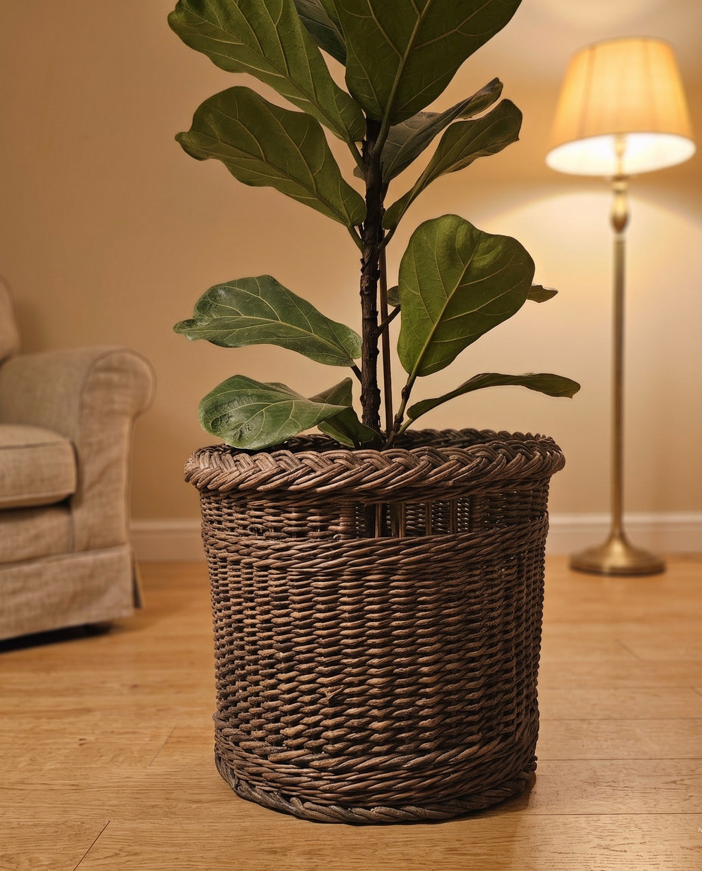 Large handwoven willow planter basket used as a floor pot cover for a fiddle leaf fig in a cosy living room by a lamp.