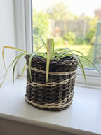 Small round wicker planter basket holding a spider plant on a bright white windowsill overlooking the garden.