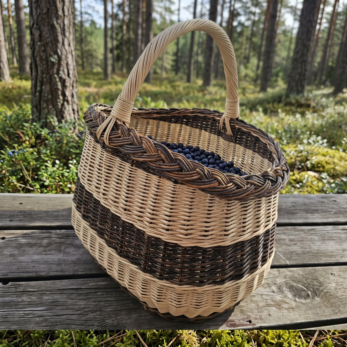 Oval wicker foraging basket with handle filled with wild blueberries on a wooden bench in a pine forest