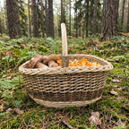 Handwoven willow foraging basket with tall handle holding porcini and chanterelle mushrooms on moss in a pine forest