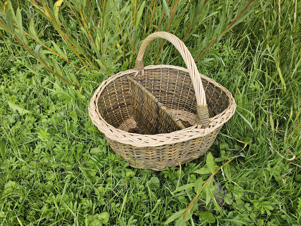 Divided willow picnic basket with a braided rim and arched handle in tall grass, the divider splitting the interior in two